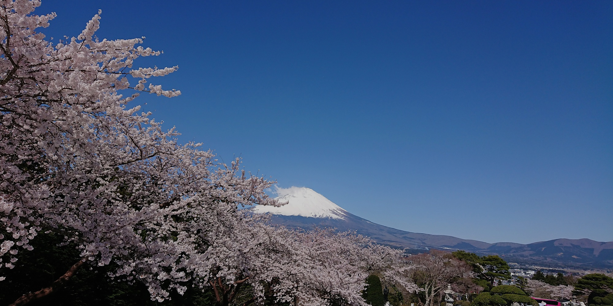 TOPメイン画像 春